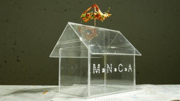 Museum of No-Contentorary Art - MoNoCoA