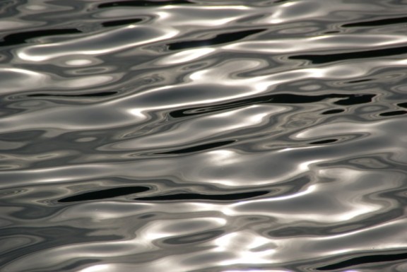 Shiny Water