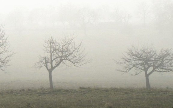 Nebel I