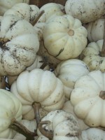 Farben des Herbstes, Serie:4(5)