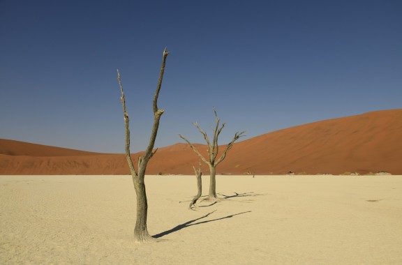 ins Gespräch vertieft